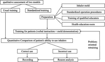 Qualitative and quantitative evaluation of a standardized training model for improving patients' ability to use inhalers